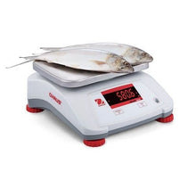 Ohaus Valor 2000 IP68 Bench Scale - Quality Scales