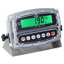 Stainless Steel Platform Scale with IP69 Waterproof Indicator - Quality Scales