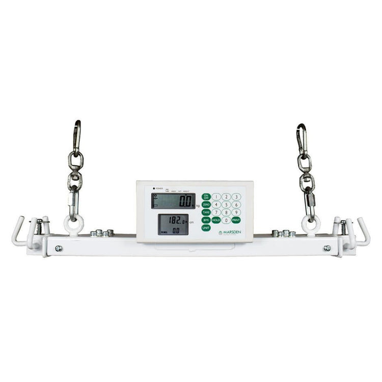 How to Choose the Right Hoist Scales– Quality Scales