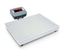 Bench Scale, C51XE6R