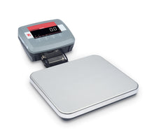 Bench Scale, C51XE6R