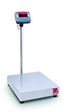 Bench Scale, D24PE150FX
