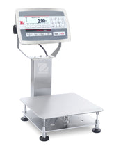Bench Scale D52XW15K1DR6EU-M