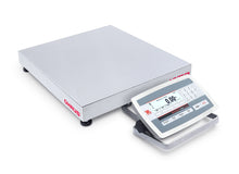 Bench Scale, D52XW60WQDL5-M