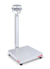 Base, D60WQDV