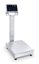 Bench Scale D52XW15K1DR6EU-M