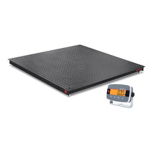 Ohaus DF 3000 Series Floor Scale