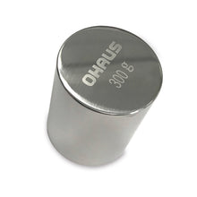Weight 300g F2 SUS304 Scout