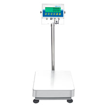 AGBM & AGFM Approved Bench and Floor Scales