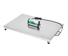CPWplus Bench and Floor Scales
