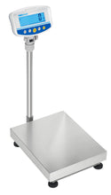 GBK-S & GFK-S Bench and Floor Scales - Quality Scales