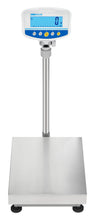 GBK-S & GFK-S Bench and Floor Scales - Quality Scales