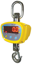 LHS Crane Scales