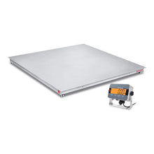 Ohaus DF 3000 Series Stainless Steel Floor Scale