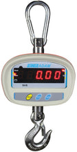 SHS Crane Scales - Quality Scales